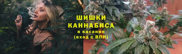 mdpv Горно-Алтайск