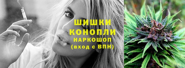 mdpv Горно-Алтайск
